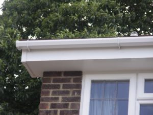 03 Soffits Melton Mowbray, Leicestershire