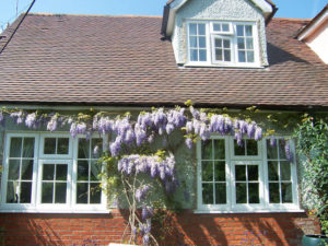 05 Timber Alternative Windows Melton Mowbray, Leicestershire